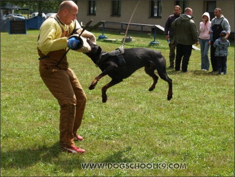 Training camp - Lukova 2007